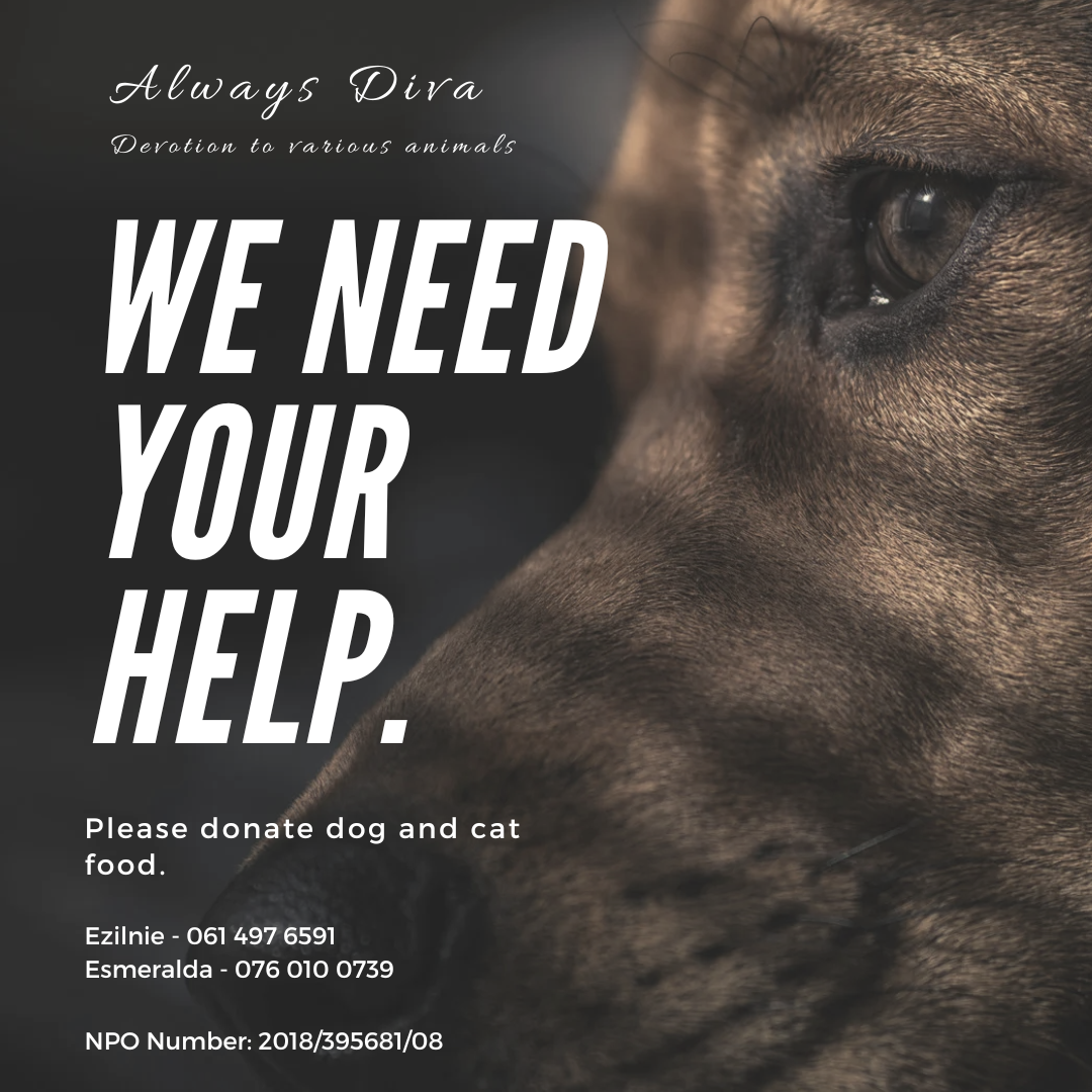 Animal rescue awareness social media post